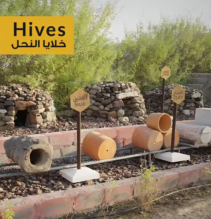 Hatta Honey Bee Garden