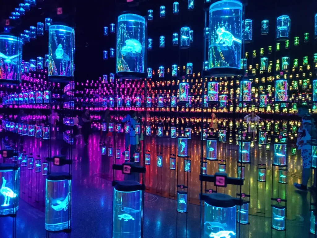 Nightview of The museum of the future